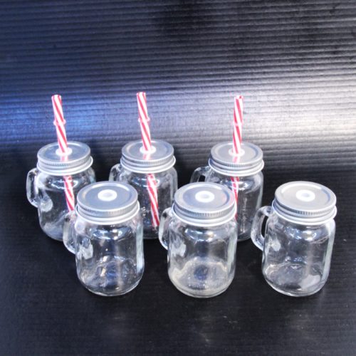 Ensemble de 6 mini mason jar avec pailles ( incomplet )