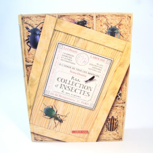 Petite collection d’insectes