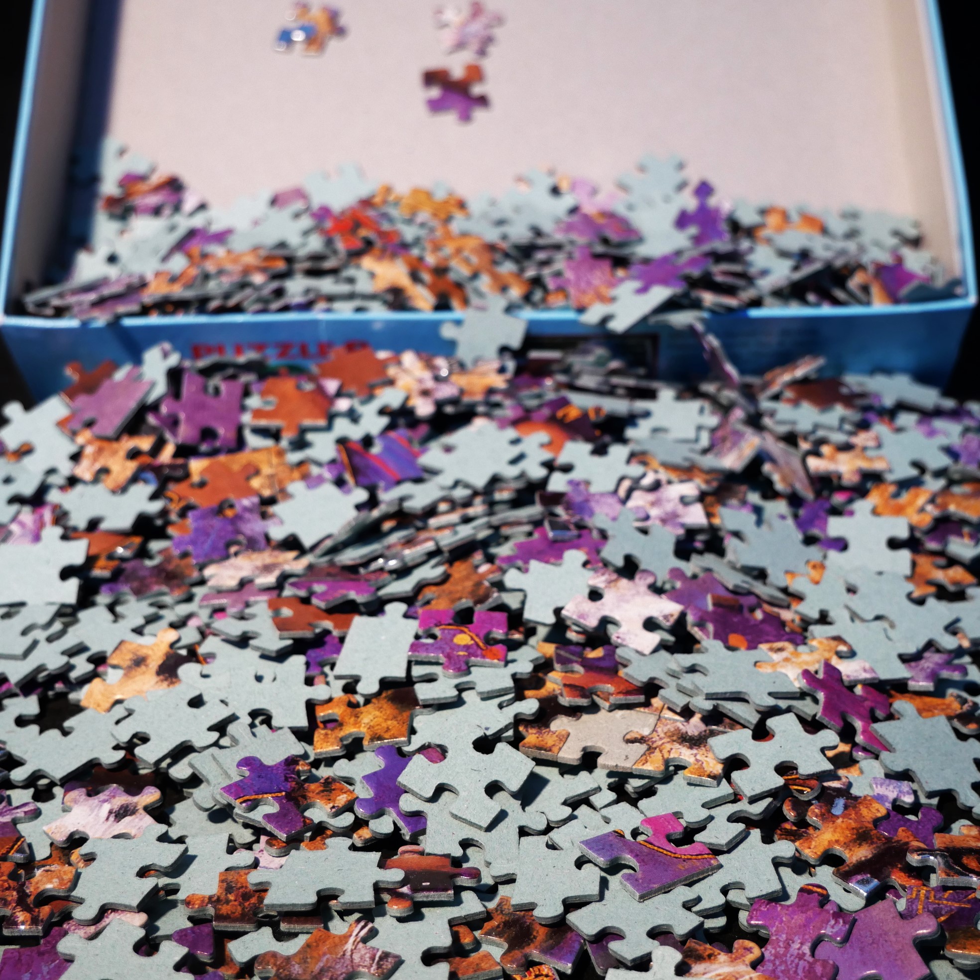 puzzle 1000 pièce Félines kari bang