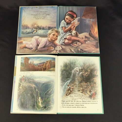 Lot de 4 Livres Jean-Lou et Sophie ( Collection FARANDOLE)