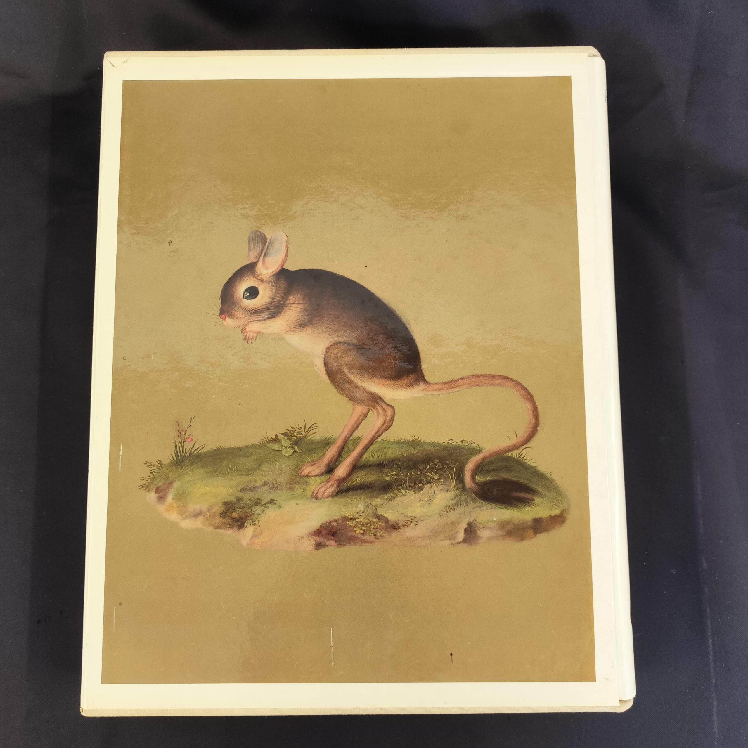 Le-bestiaire-de-Rodolphe-II-1-
