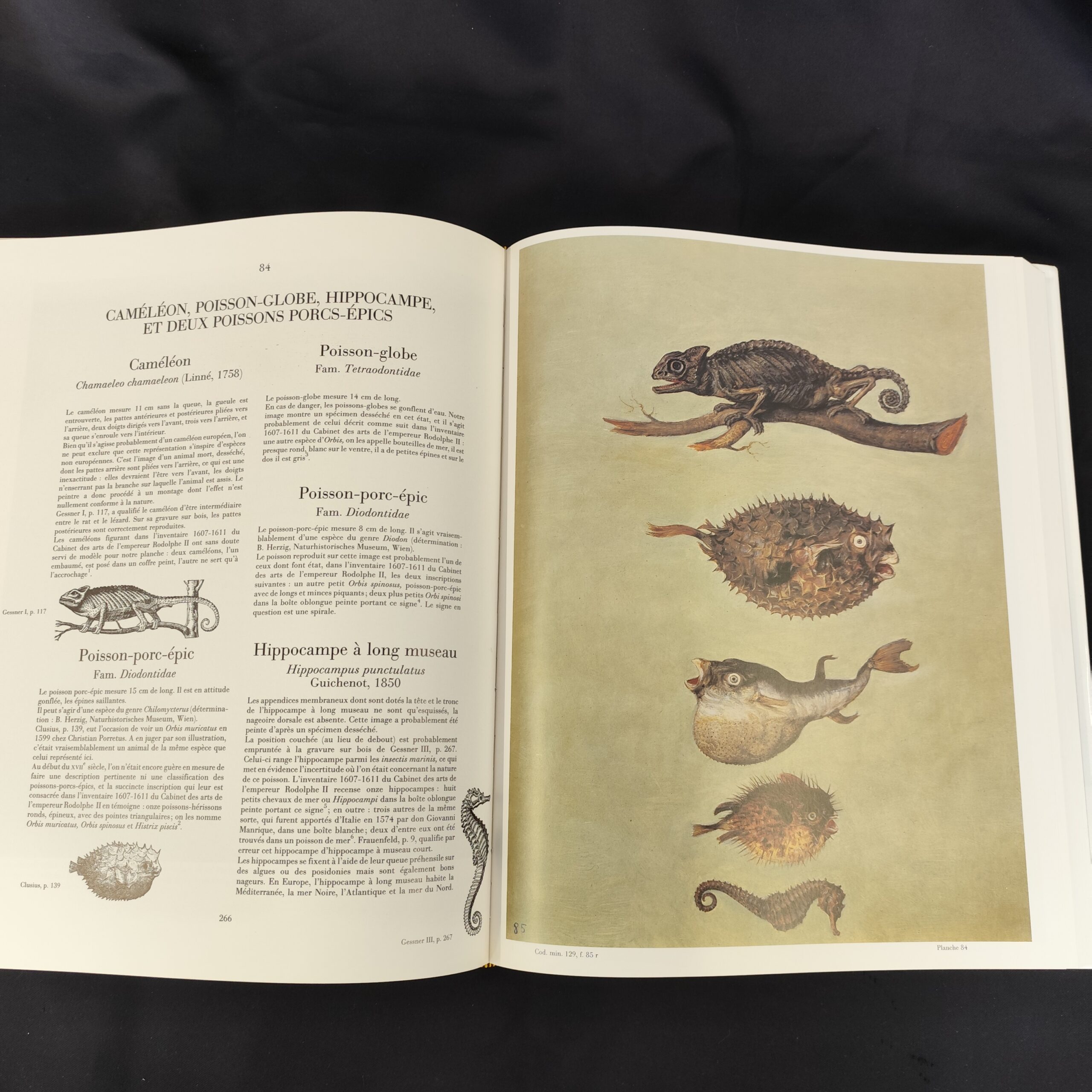 Le-bestiaire-de-Rodolphe-II-2-